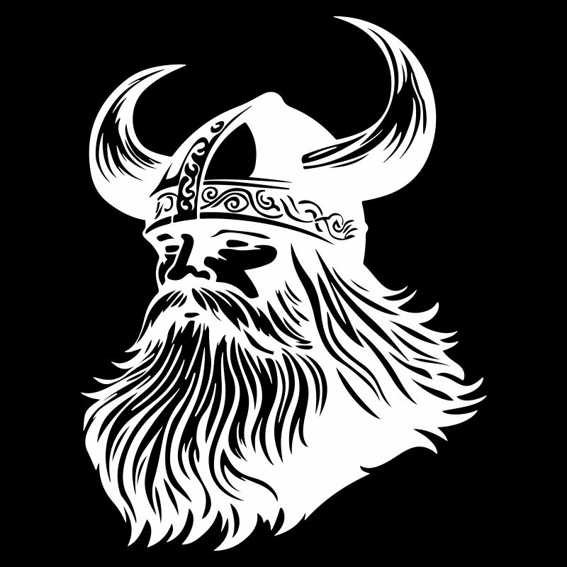 Viking Warrior Odin