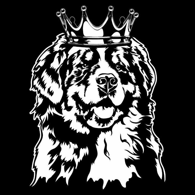 Bouvier Bernois Krone Chiens Chien Wilsigns