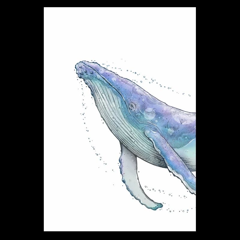 Humpback whale