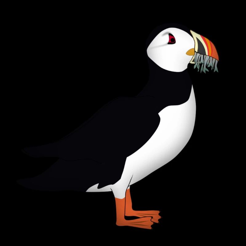 Choughs with fish