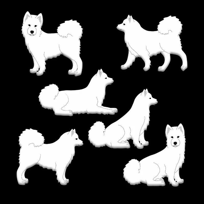 Samoyed selection