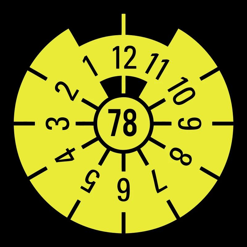 TÜV 1978