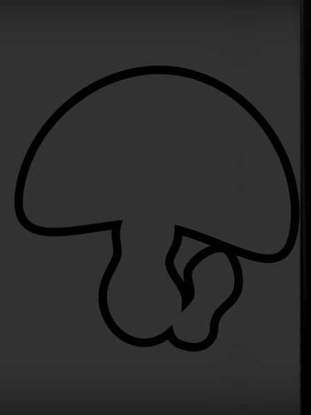champignons