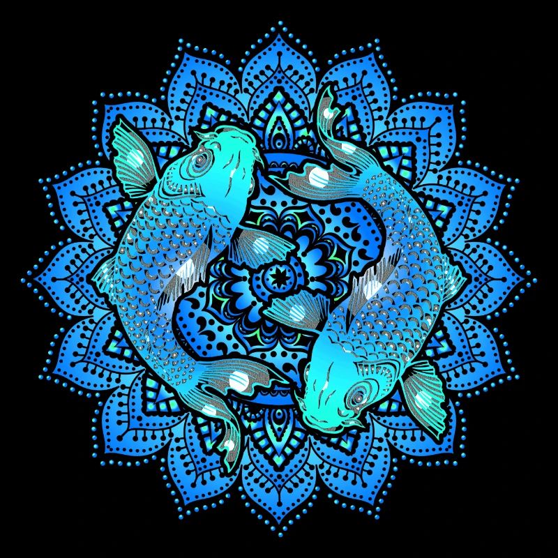 Asian Pond Carp - Koi Fish Mandala 1