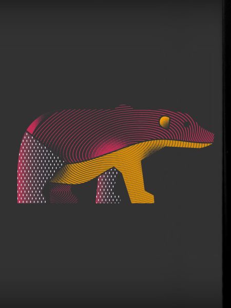 Ours graphique