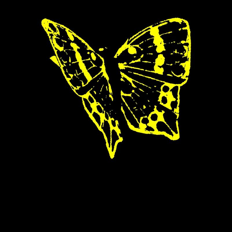 butterfly, schmetterling