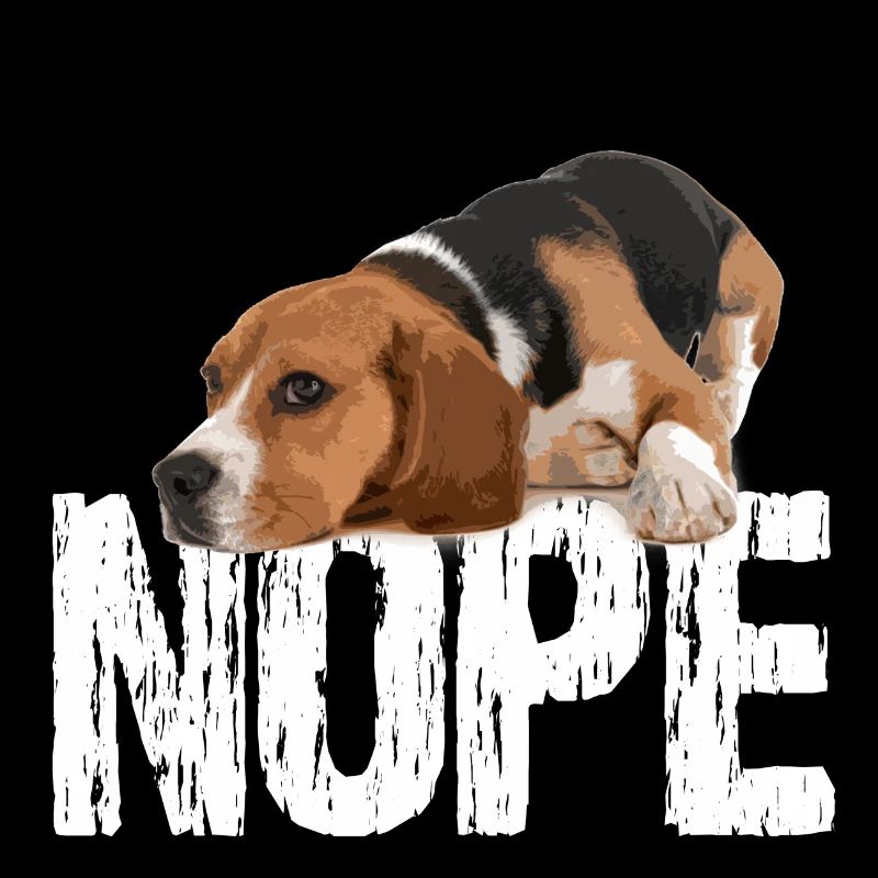 chien beagle