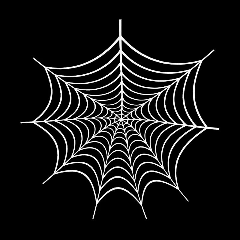 Spider Web - comic gift Spiderman spider web