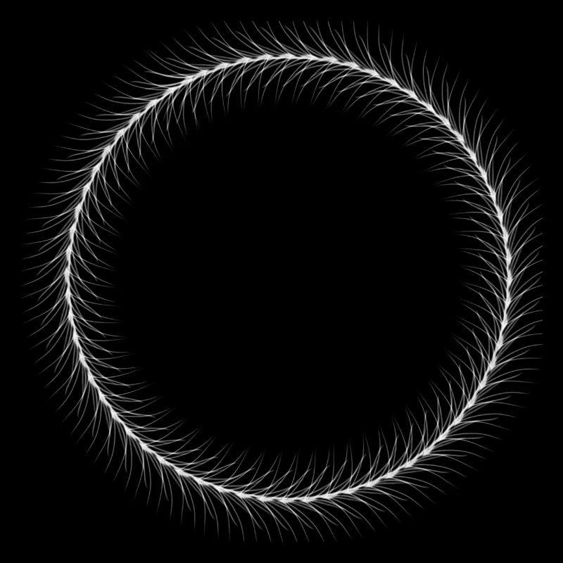 Circle - Ring - Shape - Round - Spring Ring White