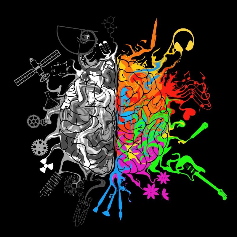 Brain halves functions