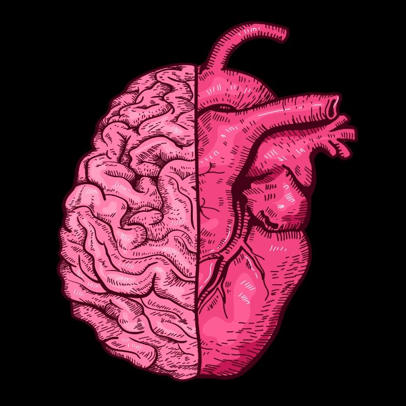 Heart vs. Brain head versus heart mind vs. heart