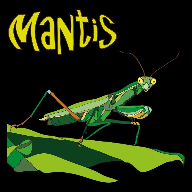 Praying mantis, Mantis