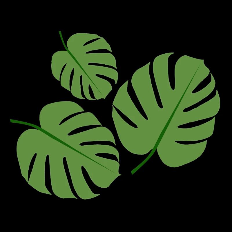 Usine de Monstera