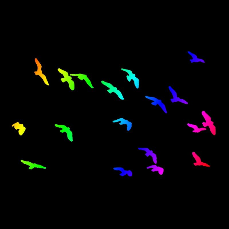 Vogelschwarm
