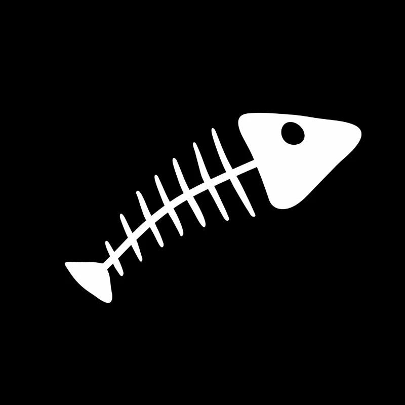 Fish skeleton fish skeletons