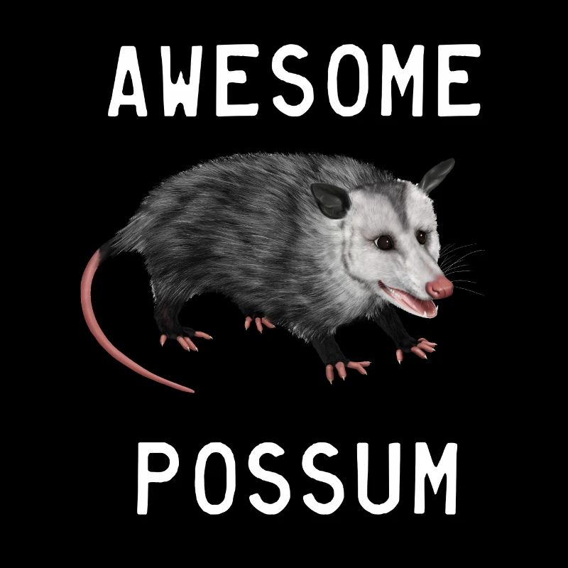 Opossum - Awesome Possum