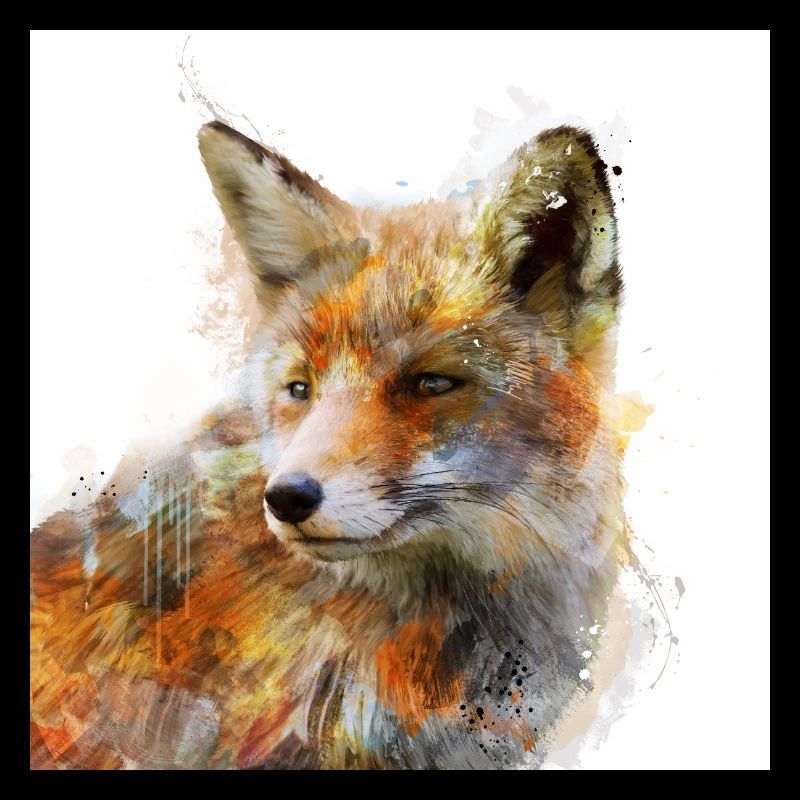 The Cunning Fox