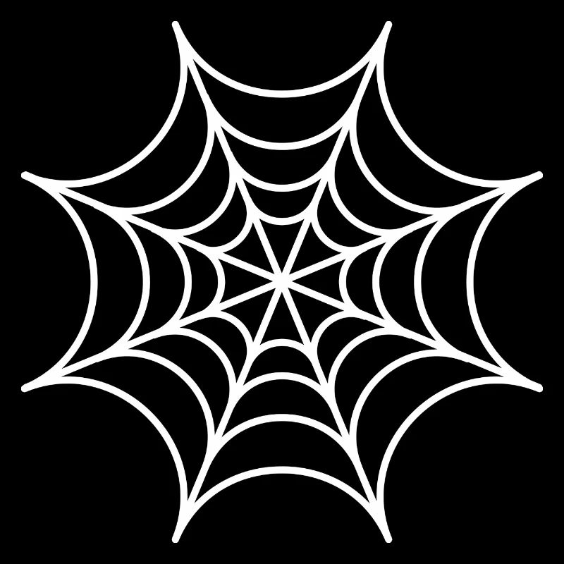 Spider web| Halloween original gift beautiful