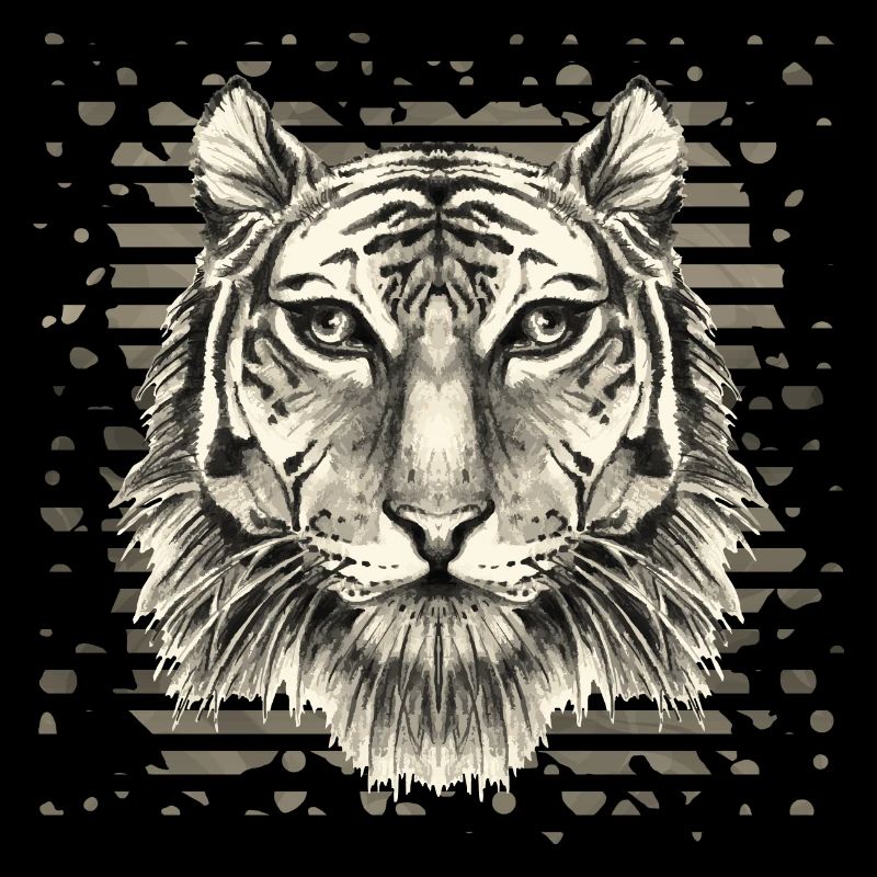 Tigre