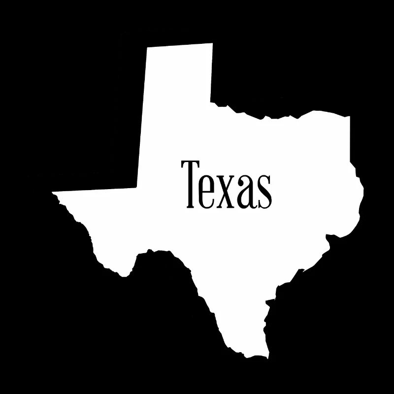 Texas State Outline Map in 3D