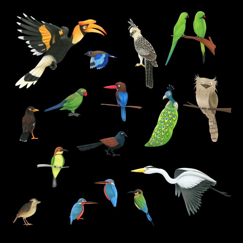 Oiseaux d’Asie