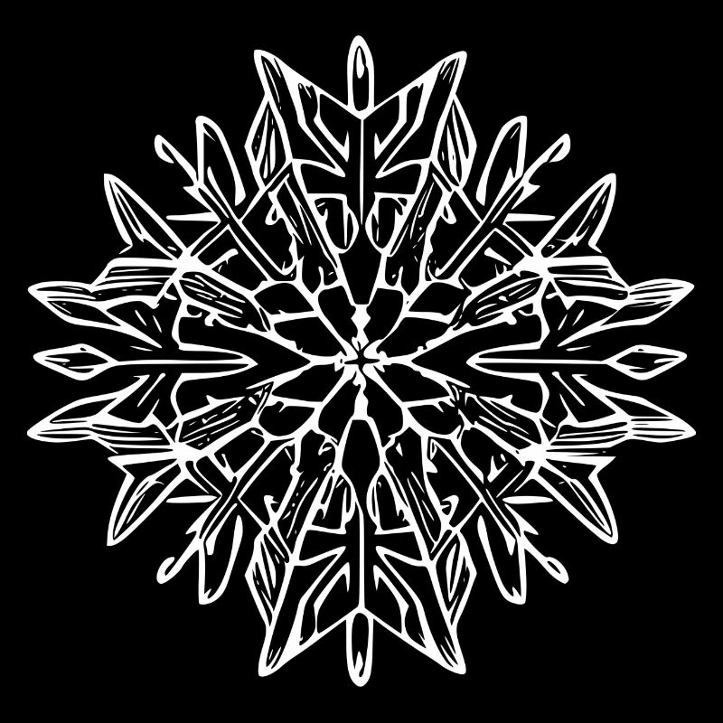 Snowflake Snow Winter Christmas Cold 14