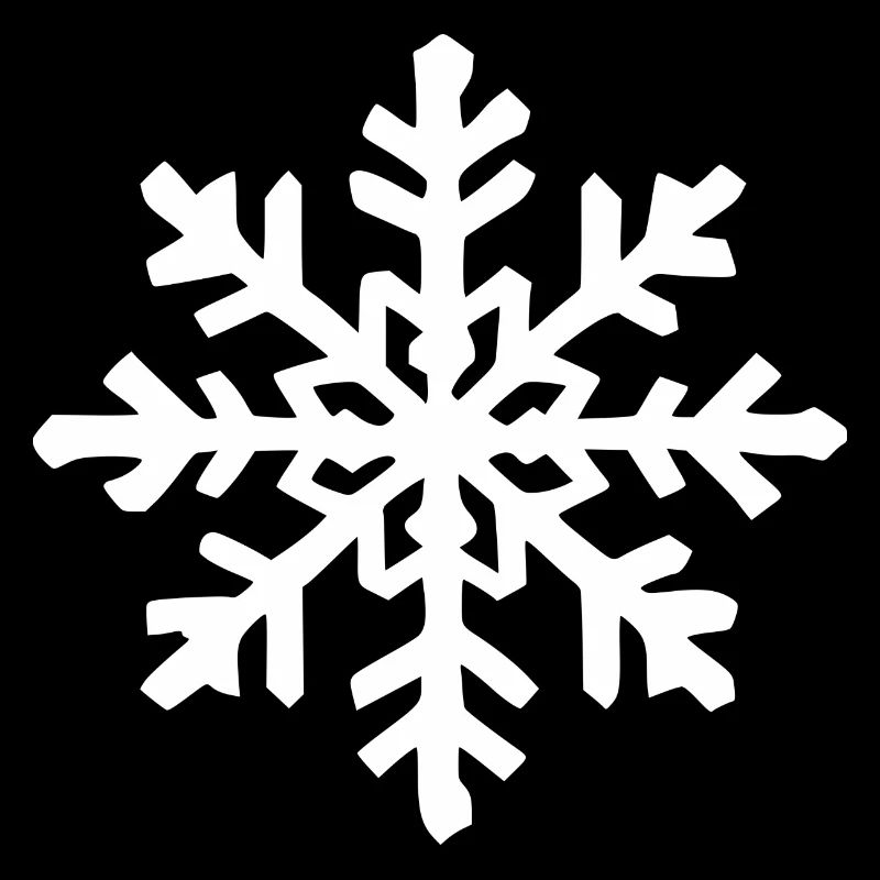 Snowflake Snow Winter Christmas Cold 5
