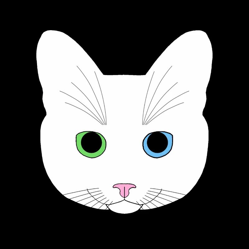 Chat blanc yeux vert bleu