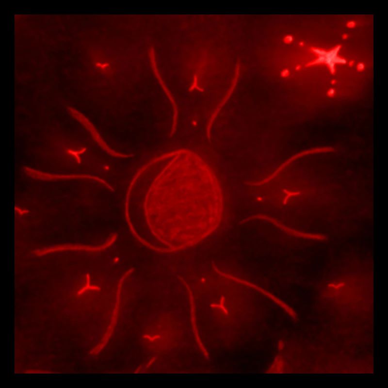 LUNE ÉTOILÉE ROUGE