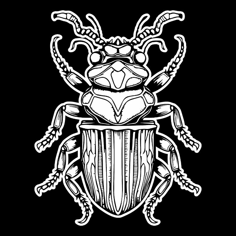 Insectes, bestioles, arthropodes