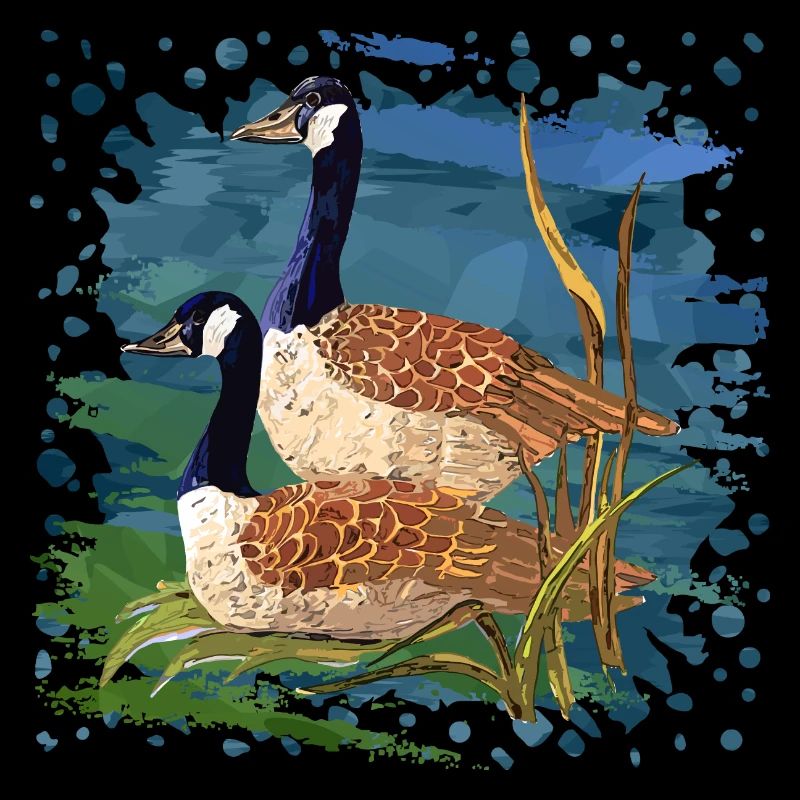 Birds
