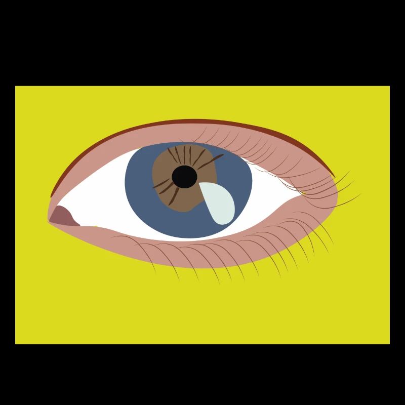 Auge