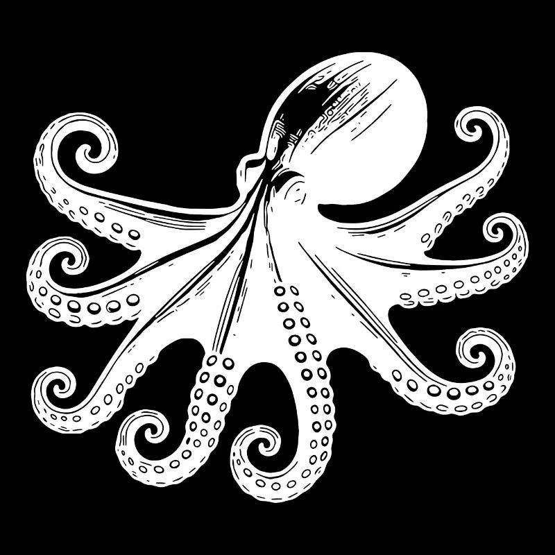 Large Octopus with Eight Arms