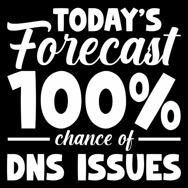 Today's forecast 100% chance of DNS issues