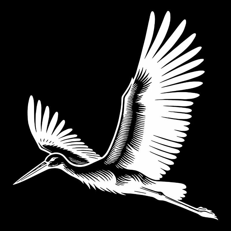 Flying stork on broad wings