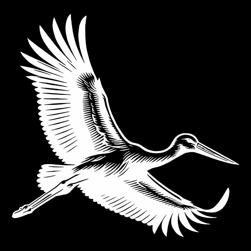 Cigogne volante dans un vol plané élégant
