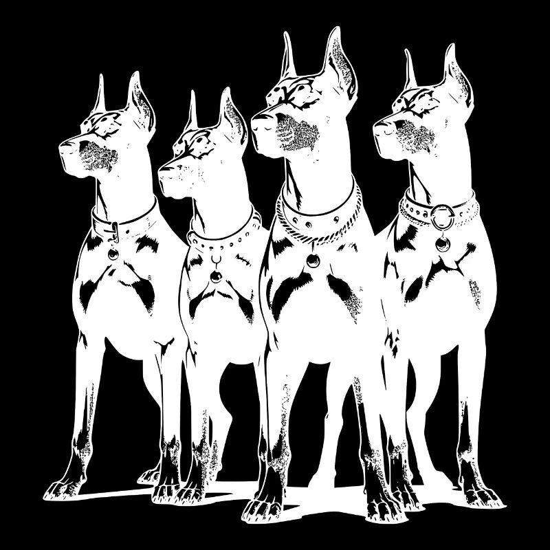 Vier schlaue wachsame Dobermänner Hunde