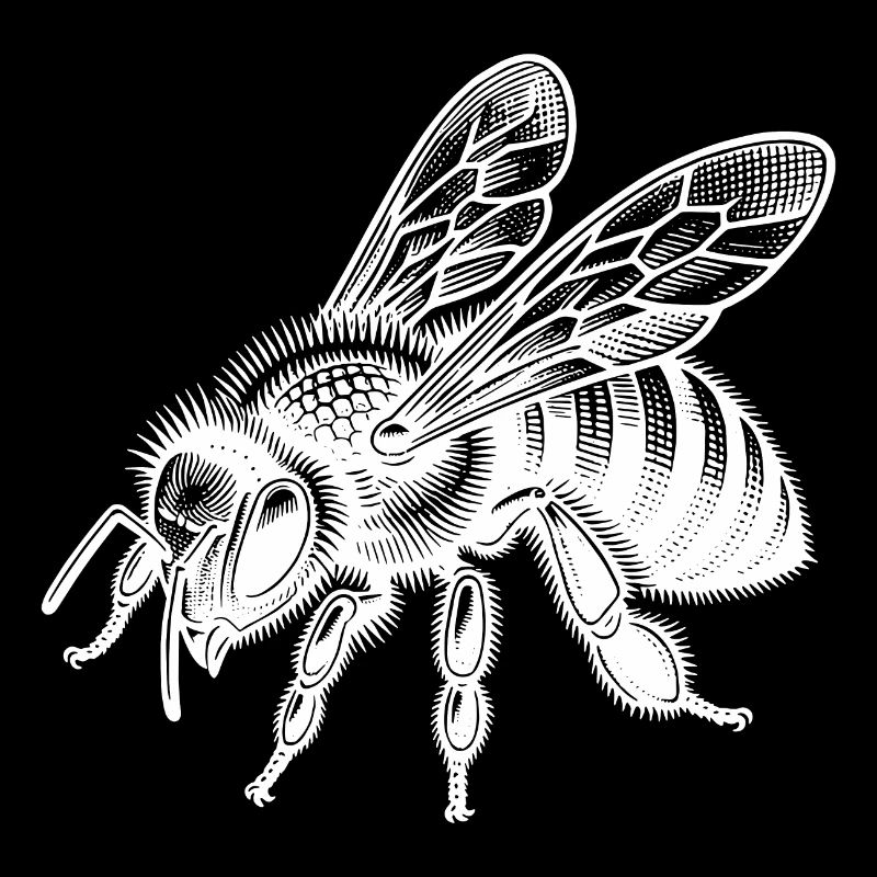 Douce petite abeille