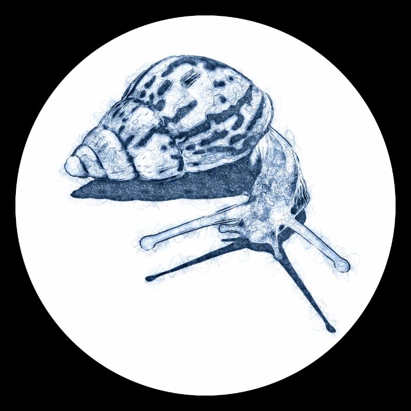 snail with shadow scribble art