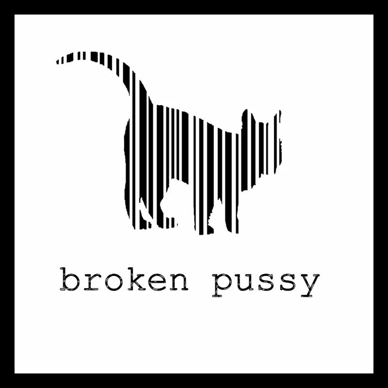 Broken Katze