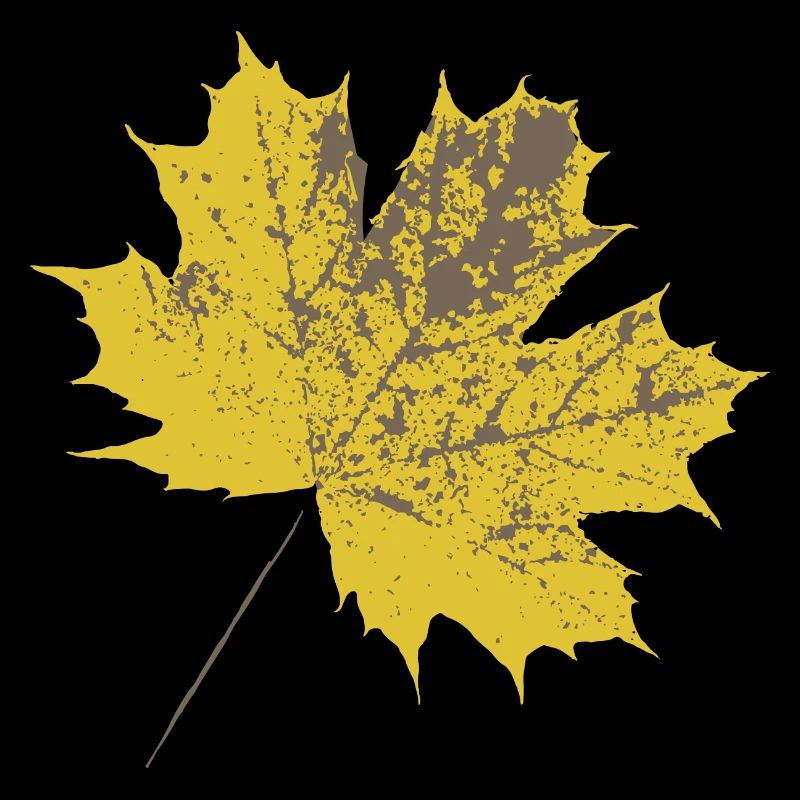 Yellow maple leaf