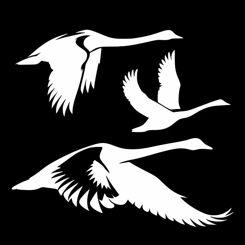 Fliegende Singschwäne Gruppe