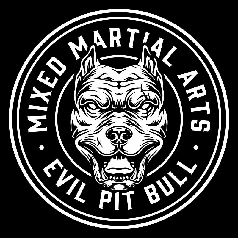 MMA-Kämpfe