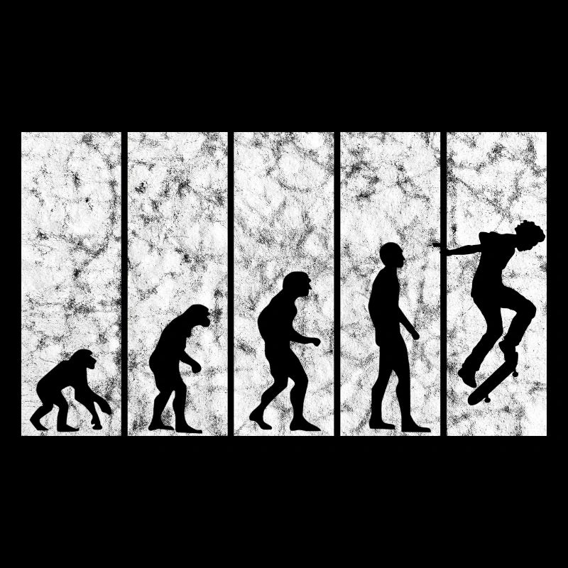 Evolution Skateboarder Skateboard Skater Skate