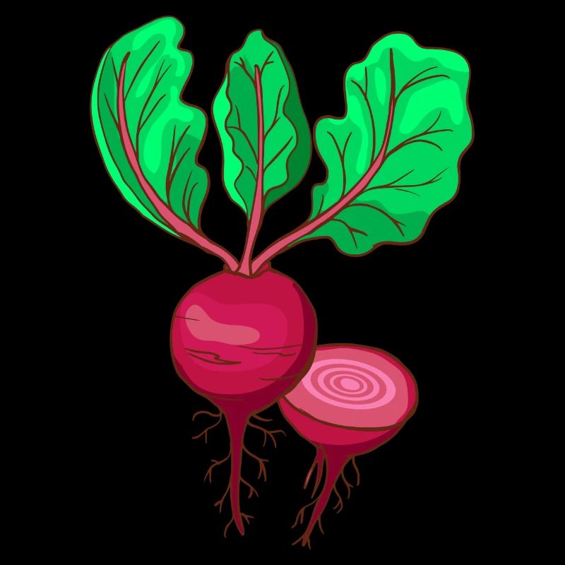 Rote Beete Rübe Bete