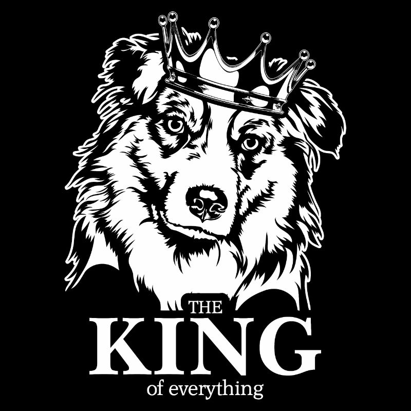Australian Shepherd King of everything Wilsigns