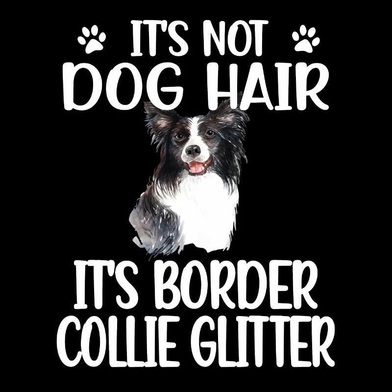 Border Collie amant Border Collie propriétaire