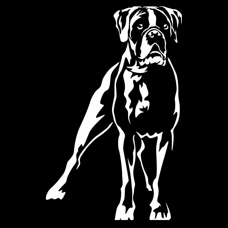 Boxer « Black Edition »