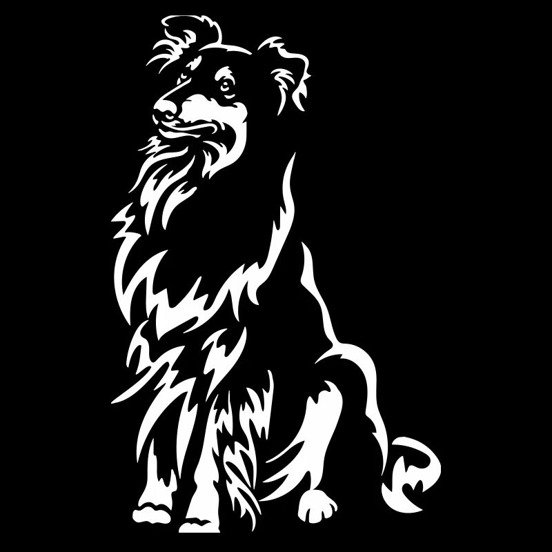 Collie "Black Edition"