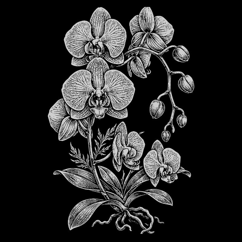 Orchidée Linework Silk Floral